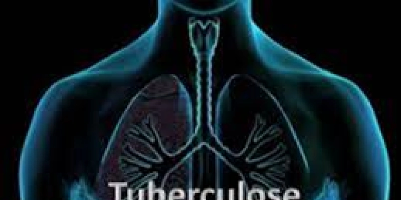 Venenos de vespa e escorpião podem auxiliar tratamento de tuberculose