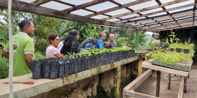 Agricultores do Litoral conhecem projeto modelo de produção de hortaliças em Alagoa Nova