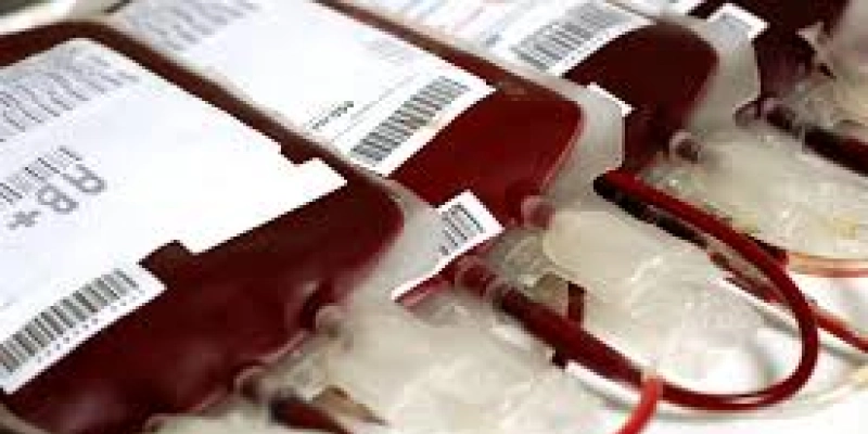 Junho Vermelho: campanha destaca a importância da doação de sangue