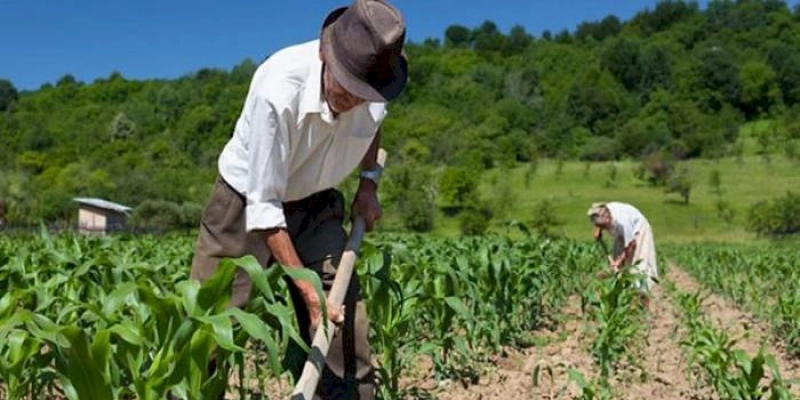 722 agricultores, em São José da Lagoa Tapada, estão aptos a receber o benefício do Garantia-Safra 2022/2023; pagamento começa nesta sexta