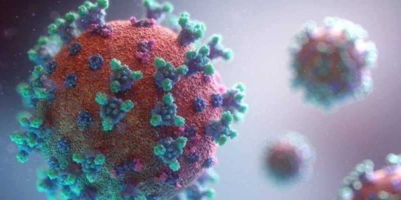 Testes clínicos com BCG contra covid-19 vão durar até 12 meses
