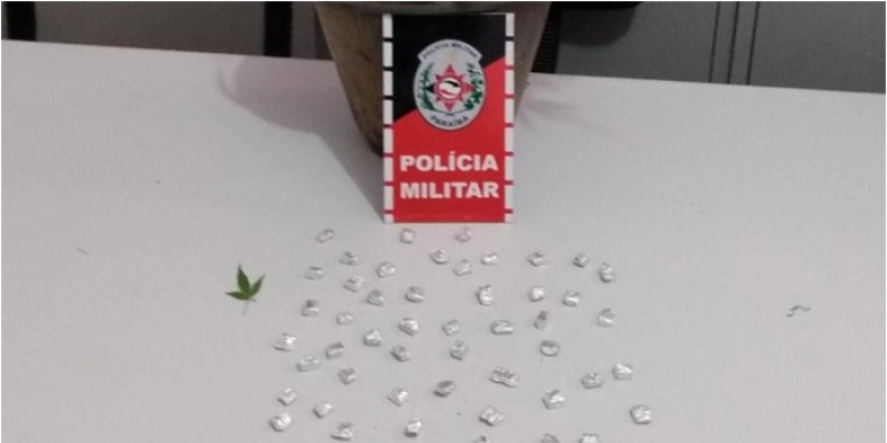 NA PB: Polícia Militar apreende maconha cultivada em quintal da casa de adolescente