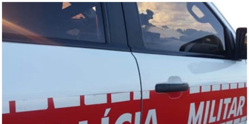 Batalhão de Polícia Ambiental apreende armas e resgata aves silvestres no interior do estado