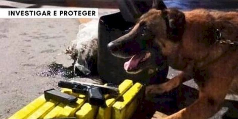 Polícias Civil e Militar apreendem drogas em motor de ônibus no interior da Paraíba