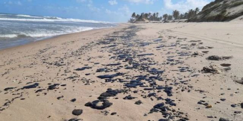 Localidades afetadas pelo vazamento de óleo chegam a 607, segundo Ibama