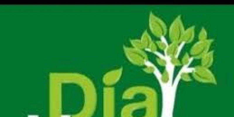 Neste domingo (2), Usina Cultural Energisa recebe “Dia Verde” em comemoração ao Dia Mundial do Meio Ambiente 