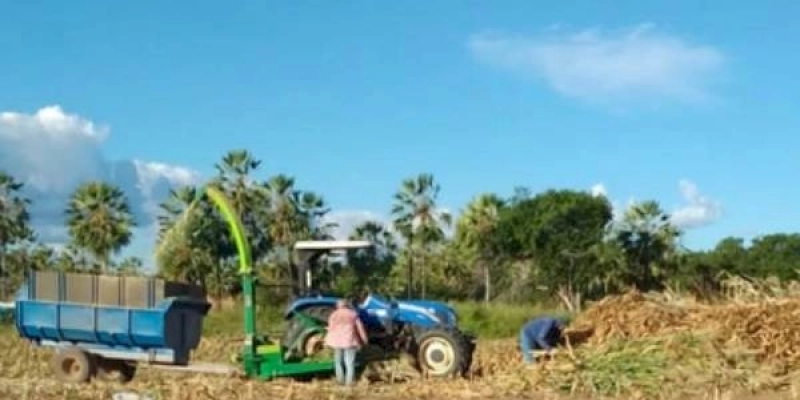 Cronograma de trabalho da Secretaria de Agricultura de Aparecida com as novas ensiladeiras, produz mais de 600 toneladas de ração animal para produtores do campo