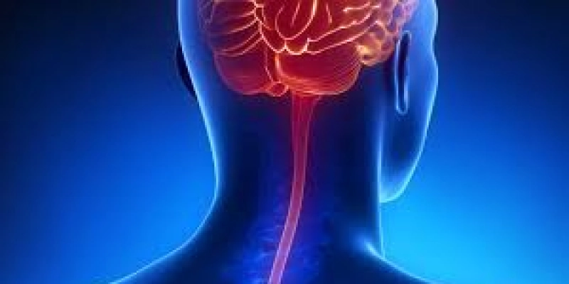 Criança de oito anos morre com suspeita meningite bacteriana na Paraíba 