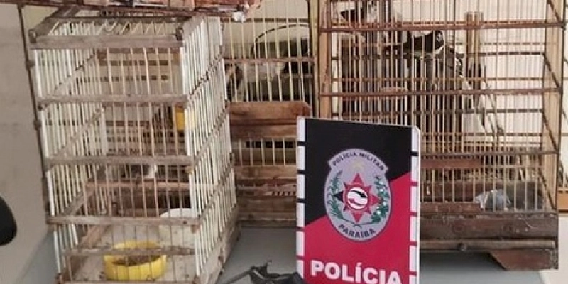 Polícia Militar conduz homem à delegacia por crime ambiental e por posse irregular de arma de fogo