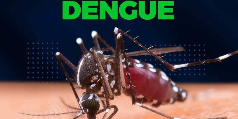 Dengue avança na Paraíba: mais de 10 mil casos prováveis e preocupação com surto