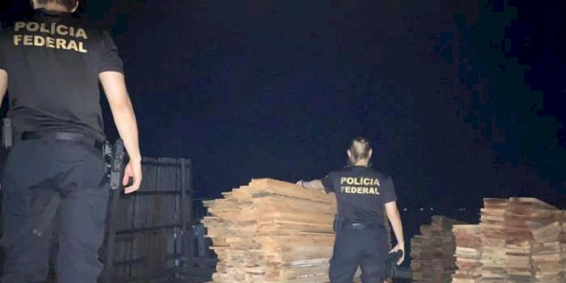 PF prende em flagrante madeireiro suspeito de subtrair madeira apreendida