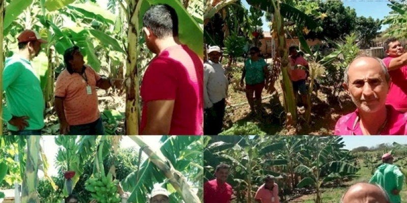 Técnicos da Secretaria de Desenvolvimento Econômico e da Empaer de Marizópolis realizam visitas aos agricultores familiares