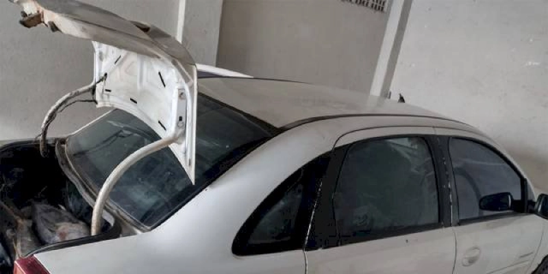 PRF apreende e Agevisa determina inutilização e descarte de peixe transportado de forma irregular