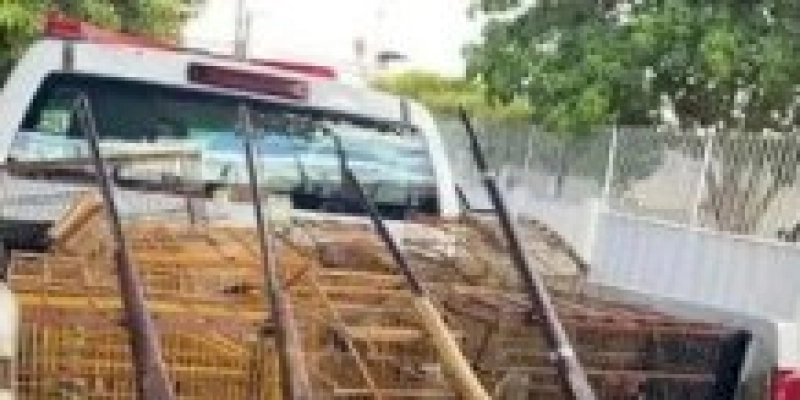 Polícia militar apreende armas de fogo e aves silvestres durante Operação Eternidade 