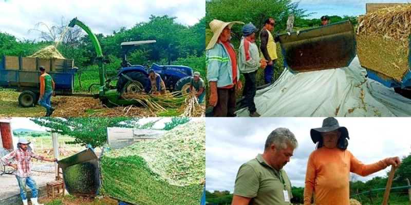Prefeitura fornece aos agricultores maquinário necessário para a produção de silagem, em Aparecida 