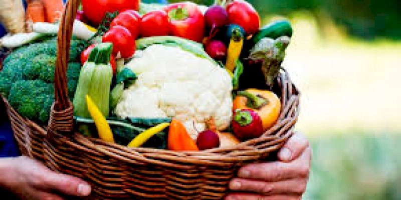 Prorrogado prazo de inscrição da nova etapa do Programa de Aquisição de Alimentos