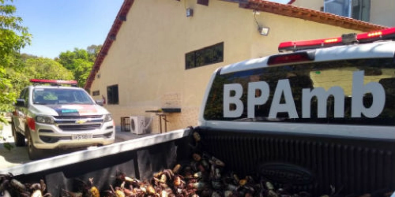 PARAÍBA: Polícia resgata 2.500 caranguejos que estavam sendo comercializados sem autorização dos órgãos ambientais