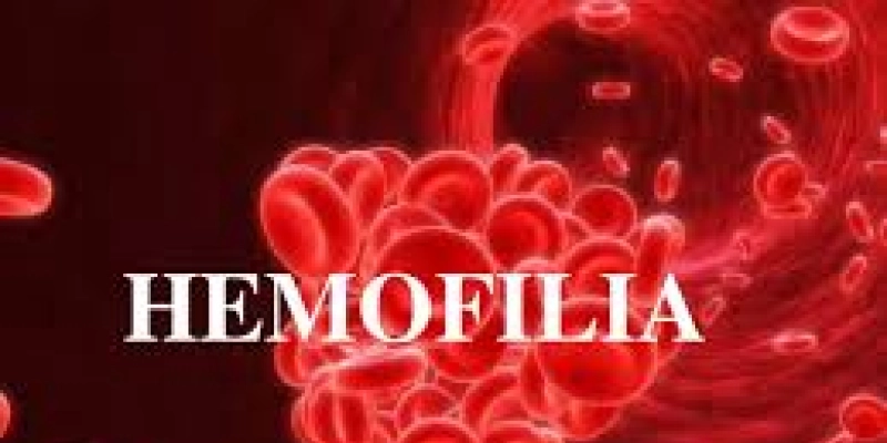 Hemofilia: Quase 13 mil pacientes estão cadastrados no Brasil