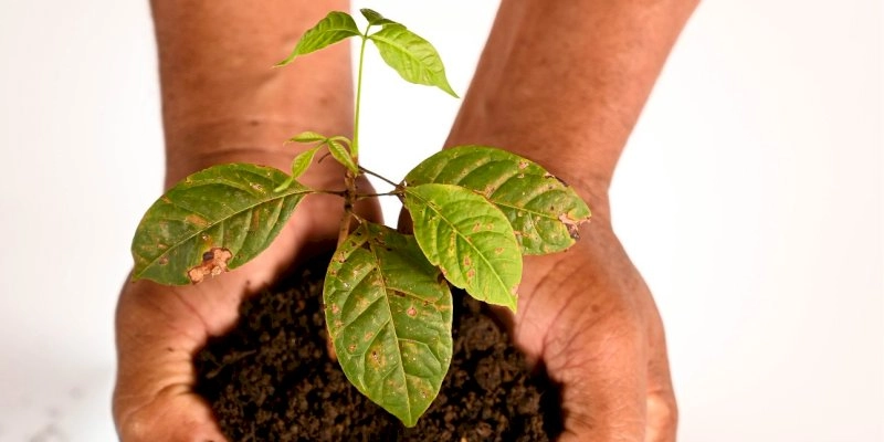 SENAI Cetiqt lança portal para impulsionar a bioeconomia brasileira
