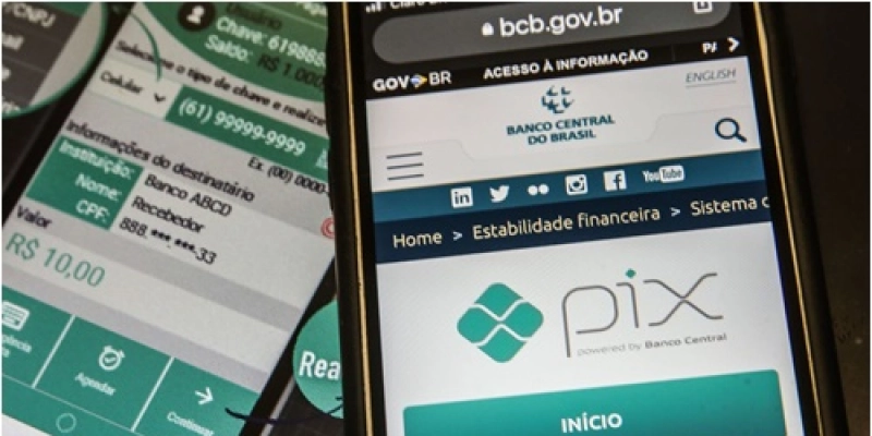 Empregadores domésticos agora podem pagar DAE também por meio do Pix