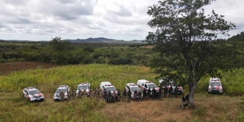 Ação conjunta destrói plantação com 19 mil pés de maconha, no cariri paraibano