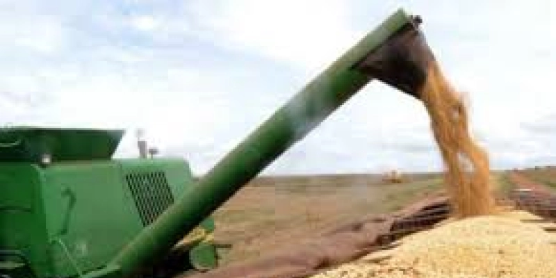 Ipea: setor agropecuário pode crescer até 2,5% apesar da covid-19