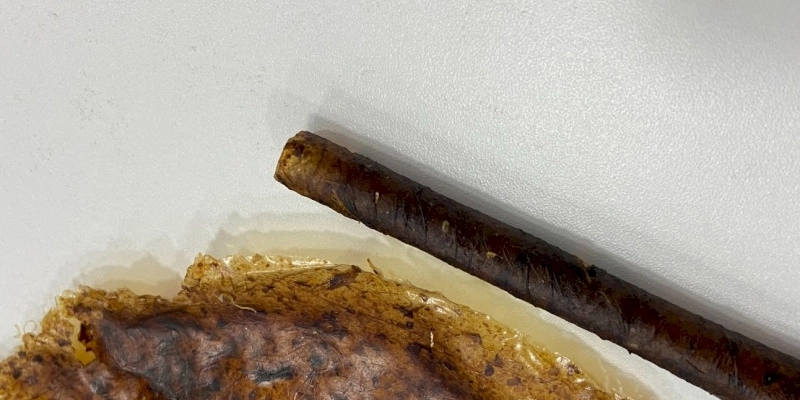 Conheça o cascanudo: alunos do SESI-PB criam canudo biodegradável de casca de banana