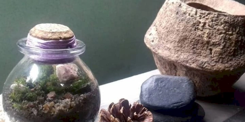 Agosto das Juventudes: Sudema realiza oficina de minijardim no Jardim Botânico