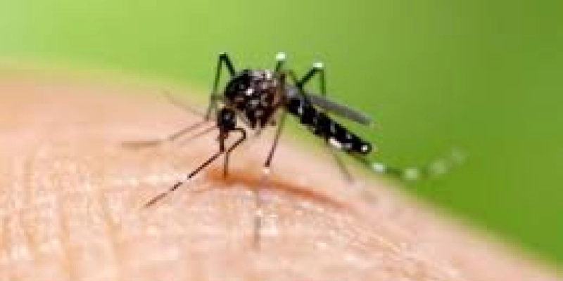 Saúde promove ‘Dia D’ de combate ao Aedes em Campina Grande