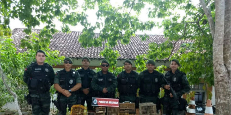 Operação Voo Livre: Polícia resgata 31 aves silvestres e detém suspeito em Santa Rita