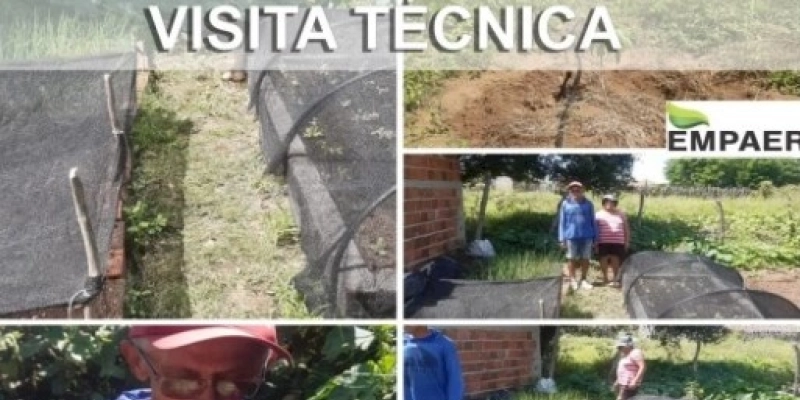 Lucas Braga fomenta Projeto de Fruticultura na Zona Rural em Marizópolis com apoios de entidades 
