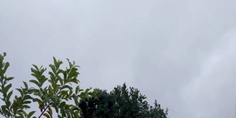 Sertão registra chuva de 77,2mm em Sousa, e 50,0mm no Município de Aparecida