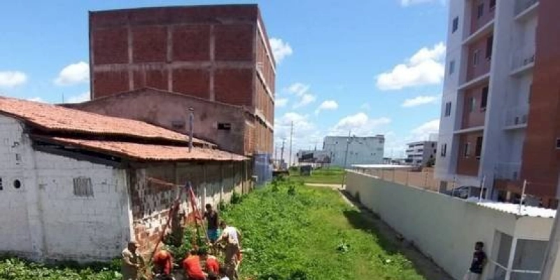 Bombeiros são acionados para resgatarem animal no município de Sousa
