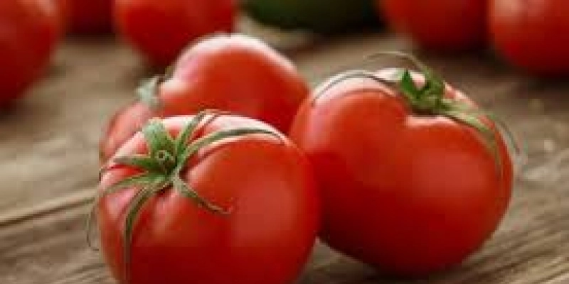 Dieta com tomate pode restaurar pulmão de ex-fumantes, diz estudo