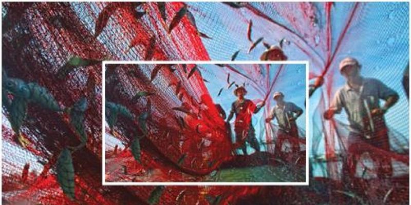 País não explora setor pesqueiro como deveria, afirma presidente da Frente Parlamentar Mista de Pesca e Aquicultura