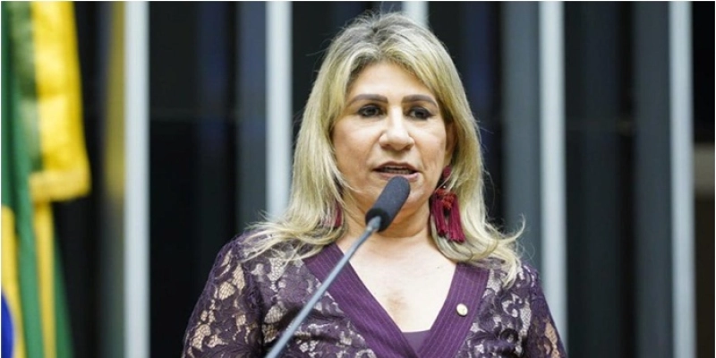 Na tribuna da Câmara Federal, Edna Henrique defende Programa Médicos pelo Brasil e Agentes de Saúde