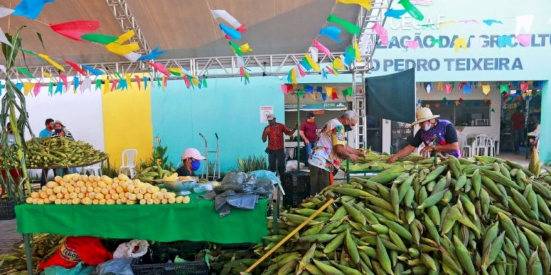 Mais de 74 mil espigas são comercializadas no primeiro dia do Festival do Milho da Cecaf