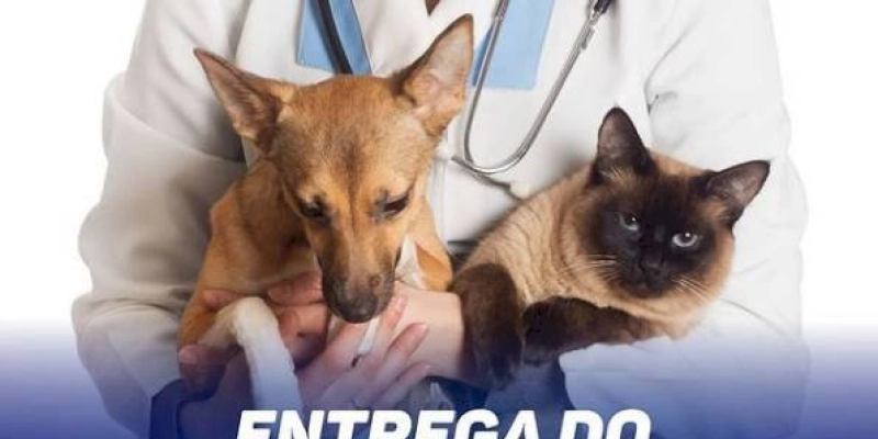 Coremas irá contar com serviços gratuitos de um Centro cirúrgico de Animais de pequeno porte