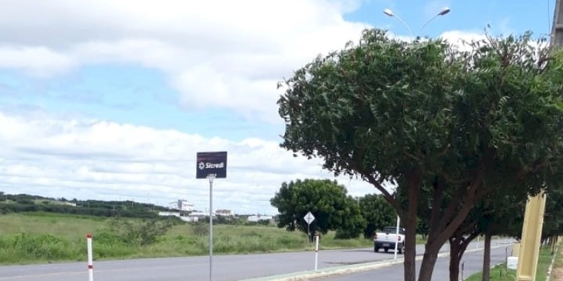 Fábio Tyrone determina o plantio de 171 mudas da espécie Flamboyant em toda extensão da Avenida de Prática Esportiva