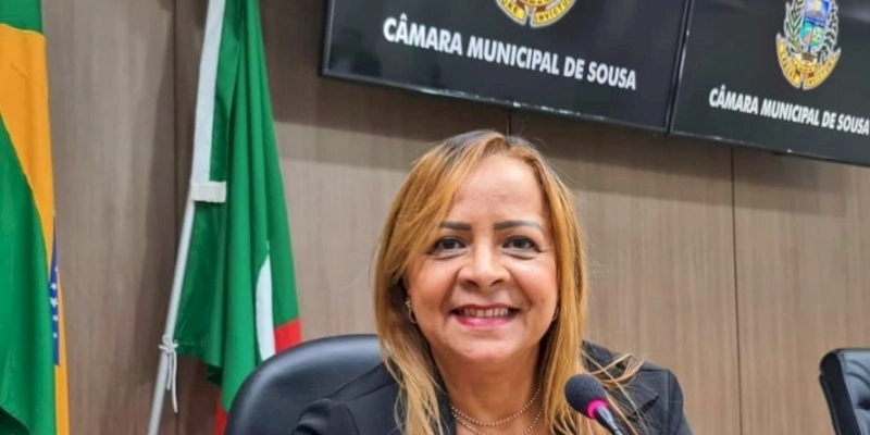 Projeto que proíbe solturas de fogos de grandes impactos no âmbito municipal é discutido em audiência pública em Sousa  