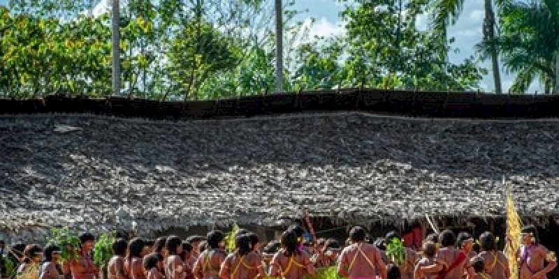 MPF instaura inquérito civil para apurar omissão do Estado brasileiro na crise humanitária da TI Yanomami