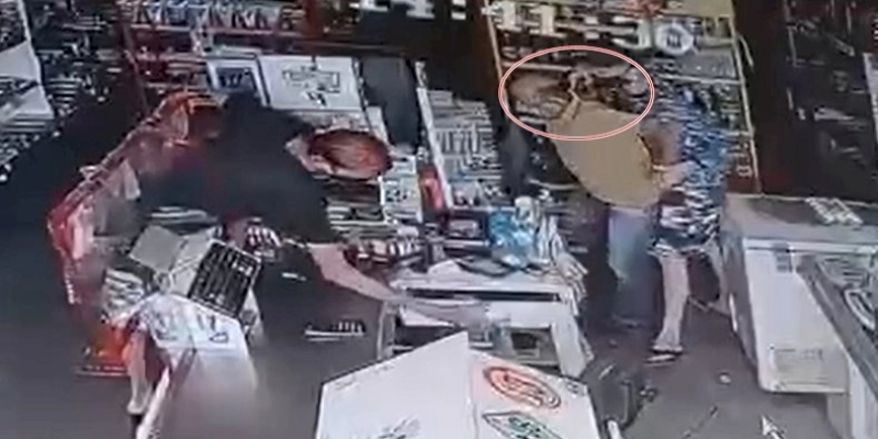 Câmeras de segurança flagram ação de meliantes durante assalto em mercadinho, no Sertão do estado; leia 