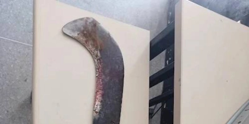 Homem desfere golpe de foice na cunhada e logo em seguida se entrega a PM, em Bom Jesus