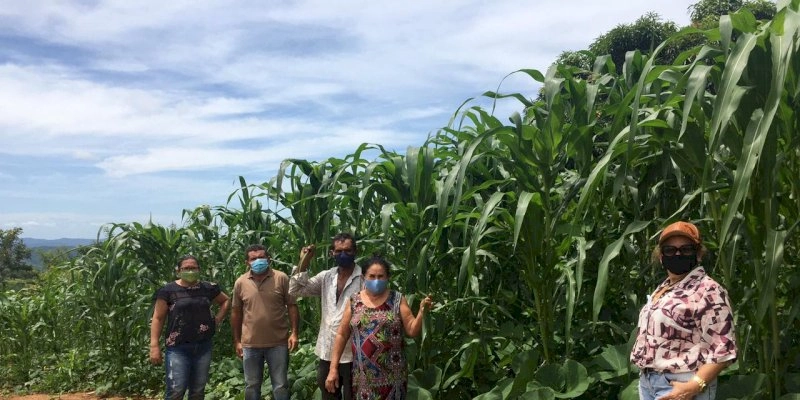 Portaria cria novo documento para agricultor familiar acessar o Pronaf
