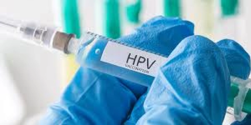 HPV está ligado a mais de 70% dos casos de câncer de colo de útero, no Brasil