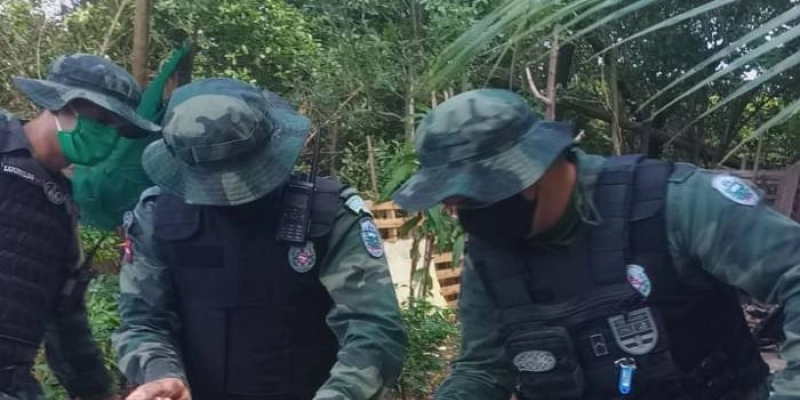 Polícia resgata mais três cobras na grande João Pessoa e devolve ao seu habitat natural
