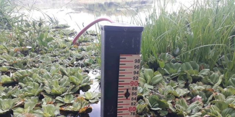 Barragem de São Gonçalo em Sousa atinge 80% de sua capacidade com as águas do São Francisco 