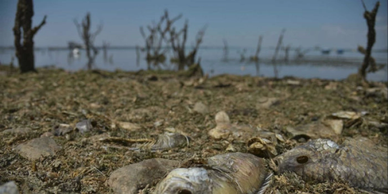 Segundo IBGE, seca é maior desastre ambiental do País e ocorre em todo o território