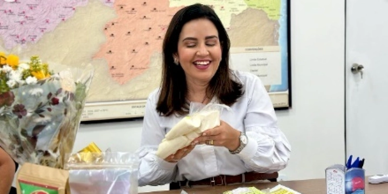 Reunião de planejamento de ações interligadas entre secretarias estaduais e o setor agropecuário, conta com a participação de Pollyanna Dutra
