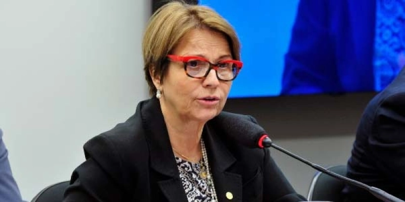 Agronegócio ajudou a segurar PIB durante a pandemia, diz ministra
